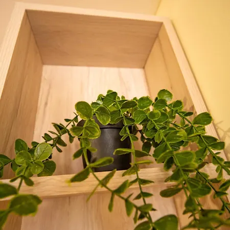 The Sea Balcony - 1bd By Flat Mаnager